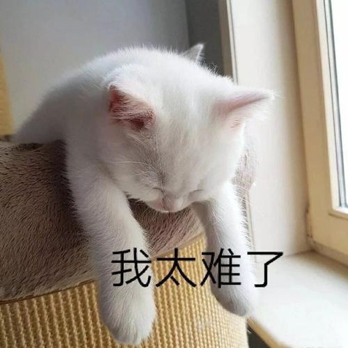 我太难了