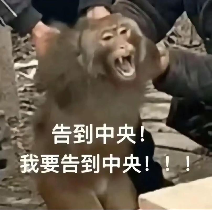 告到中央！ 我要告到中央！！！