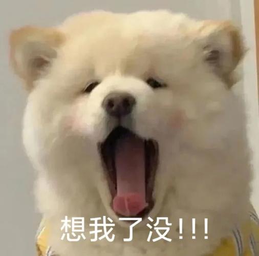 想我了没！！！