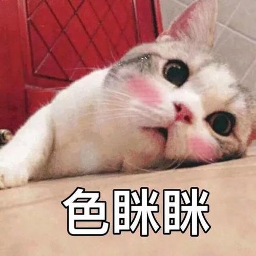色眯咪