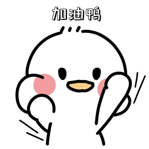 加油鸭