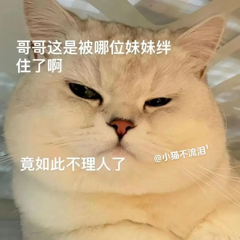 哥哥这是被哪位妹妹绊 住了啊 @小猫不流泪 竟如此不理人了