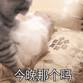 今晚那个吗