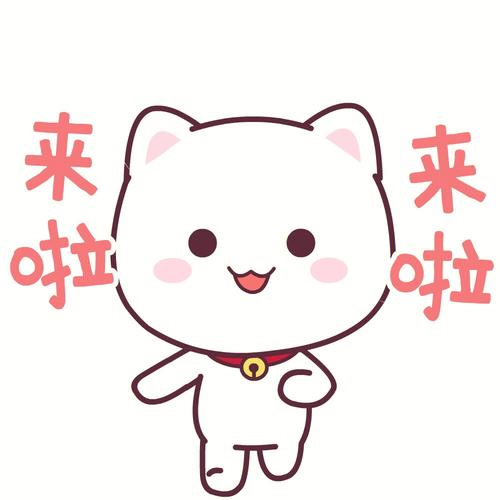 来啦 来啦