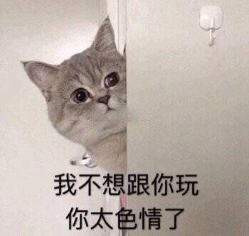 我不想跟你玩 你太色情了