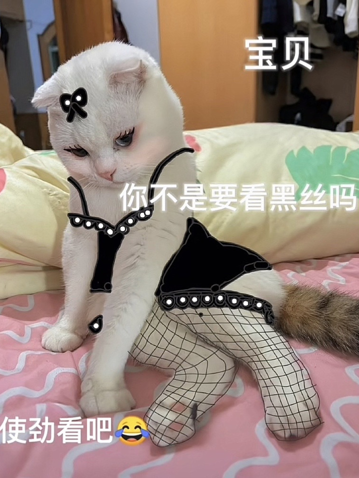 宝贝 你不是要看黑丝吗 使劲看吧
