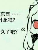 东西… 寸象吧？ 久了吧？