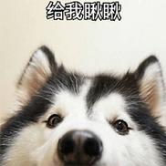 给我瞅瞅