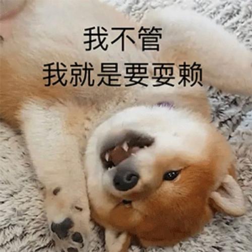 我不管 我就是要耍赖