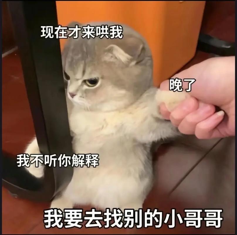现在才来哄我 晚了 我不听你解释 我要去找别的小哥哥