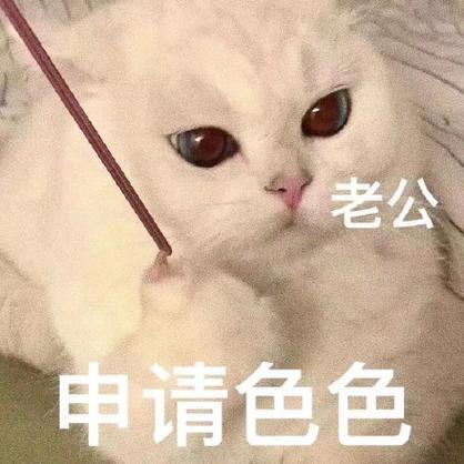 老公 申请色色