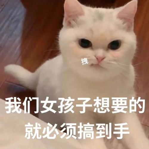 我们女孩子想要的 就必须搞到手