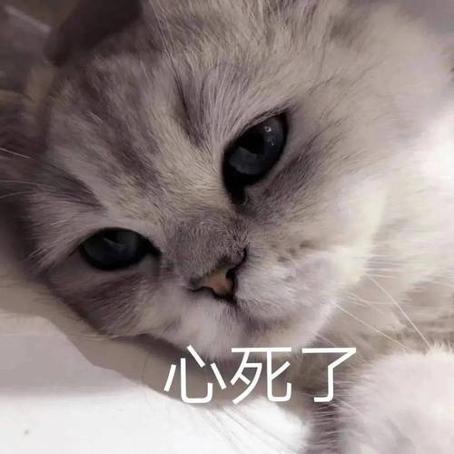 心死了