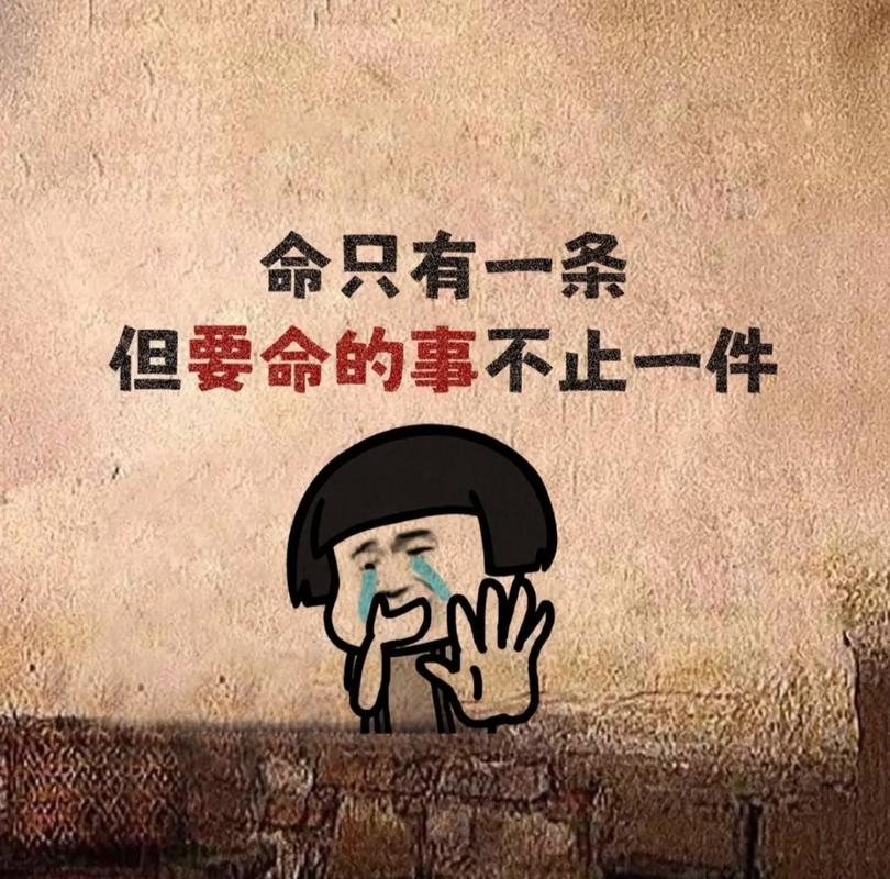 命只有一条 但要命的事不止一件