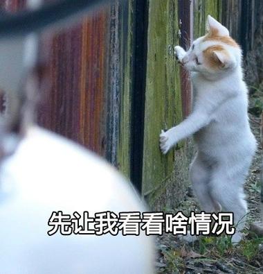 先让我看看啥情况