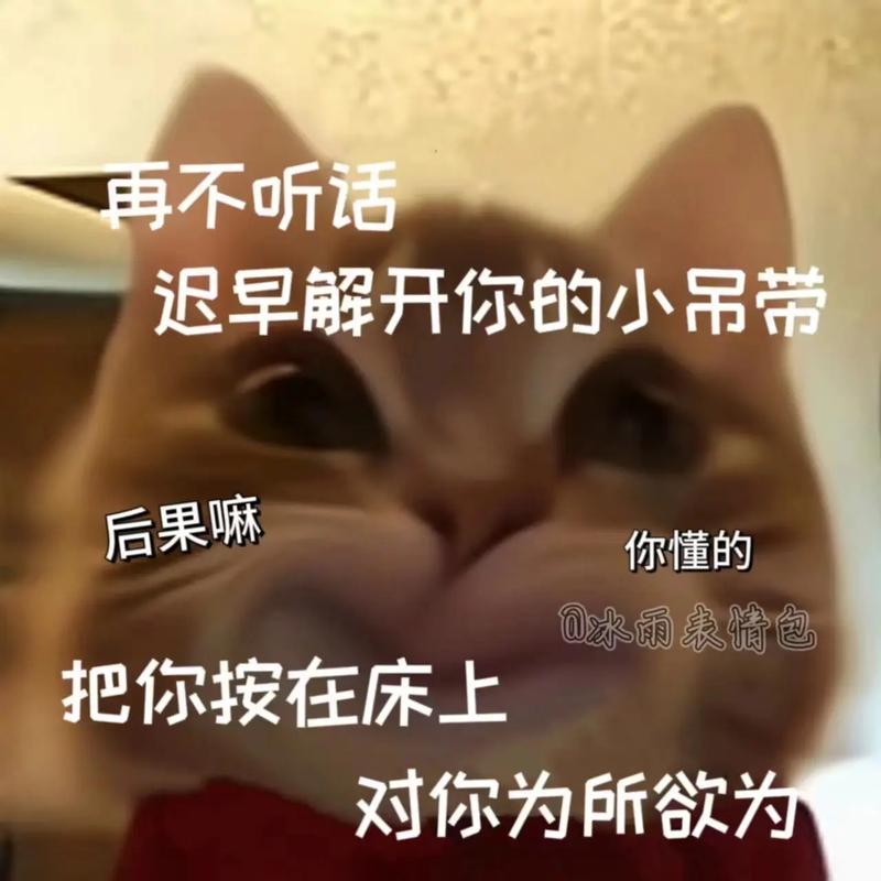 再不听话 迟早解开你的小吊带 后果嘛 你懂的 @冰雨表情包 把你按在床上 对你为所欲为