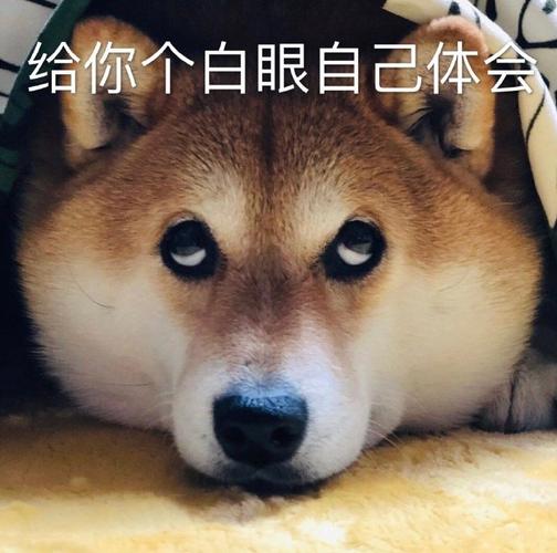 给你个白眼自己体会