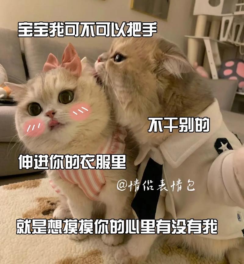 宝宝我可不可以把手 不干别的 伸进你的衣服里 @情俊表情包 就是想摸摸你的心里有没有我