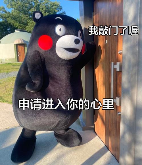 我敲门了喔 申请进入你的心里