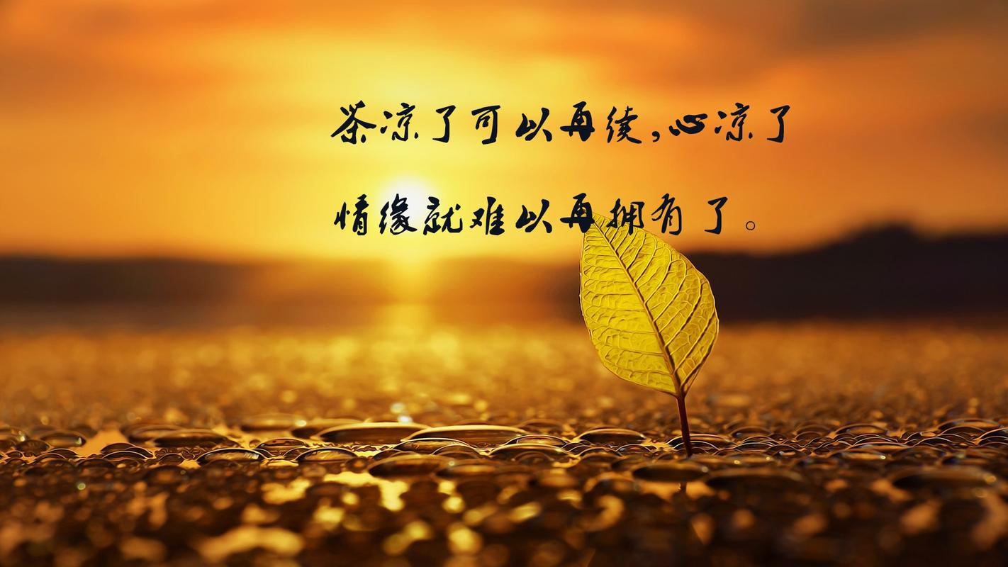 茶凉了可以再续，心凉了 情缘就难以再拥有了。