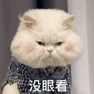 没眼看