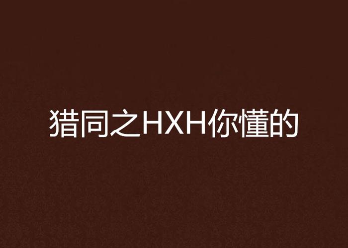 猎同之HXH你懂的