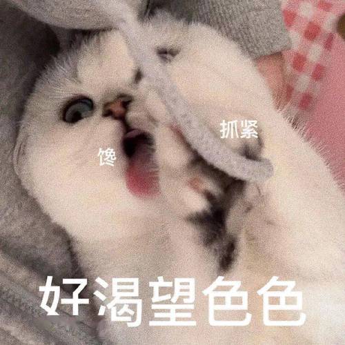 抓紧 好渴望色色
