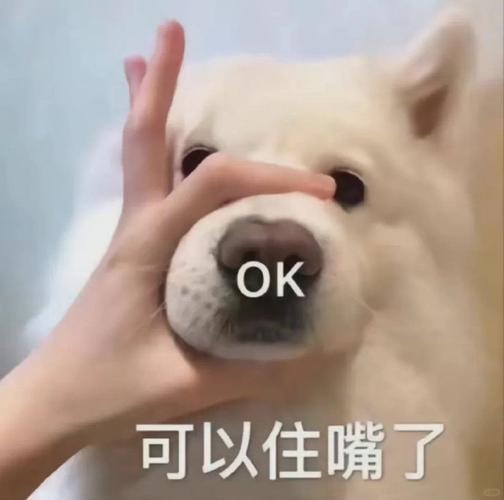 OK 可以住嘴了