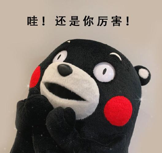 哇！还是你厉害！