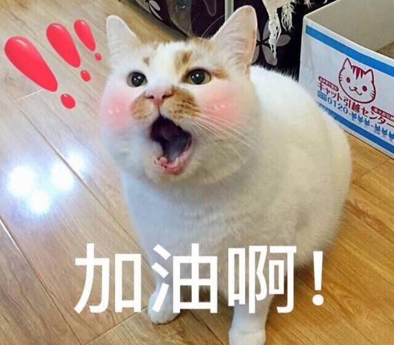 加油啊！