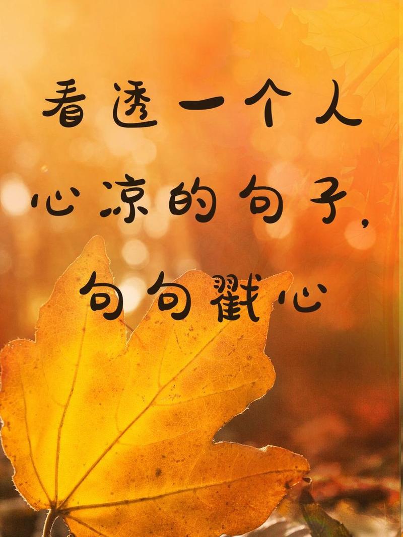 看透一个人 心凉的勺子 句句戳心
