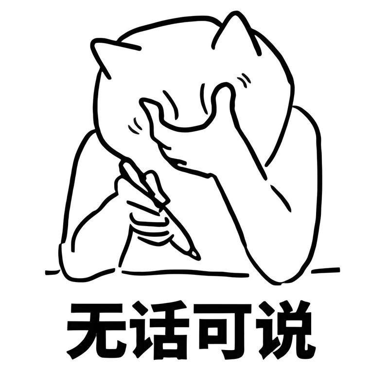 无话可说