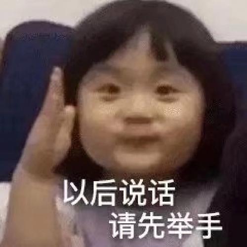 以后说话 请先举手