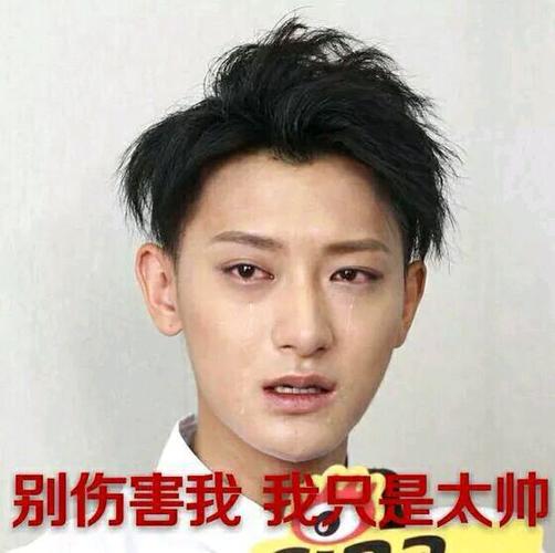 别伤害我我只是太帅