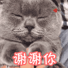 谢谢你