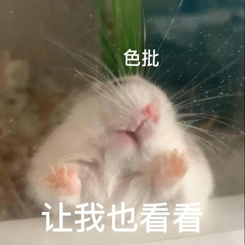 色批 让我也看看