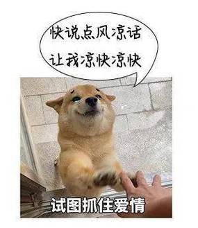 快说点风凉话 让我凉快凉快 试图抓住爱情