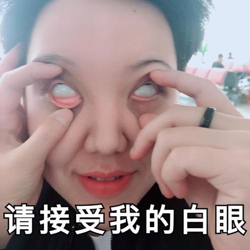 请接受我的白眼