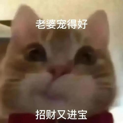 老婆宠得好 招财又进宝