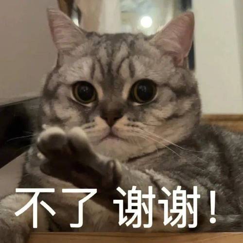 不了谢谢！