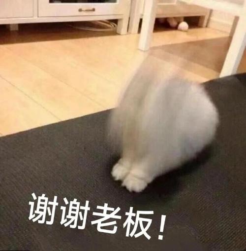 谢谢老板！