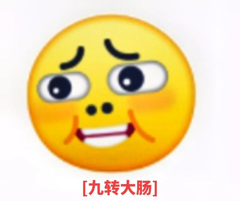 [九转大肠]