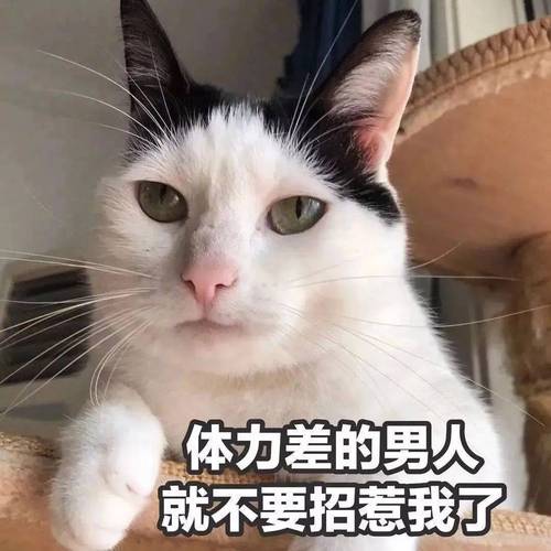 体力差的男人 就不要招惹我了