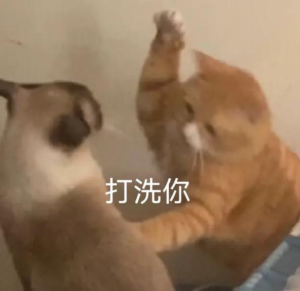 打洗你