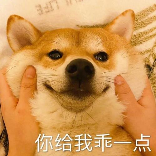 你给我乖一点