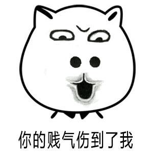 你的贱气伤到了我