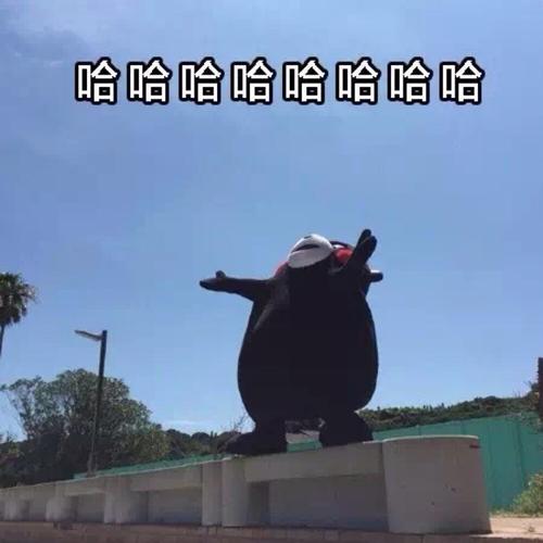 哈哈哈哈哈哈