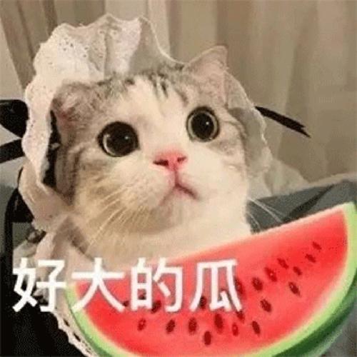 好大的瓜