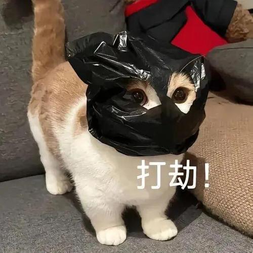 打劫！