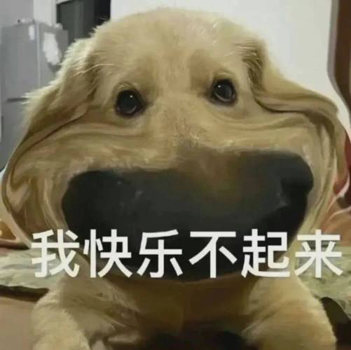 我快乐不起来